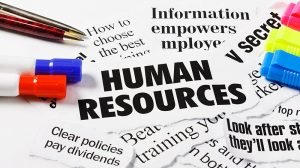 TRAINING ADVANCED SKILL TO OPTIMIZE HUMAN RESOURCES INFORMATION SYSTEM