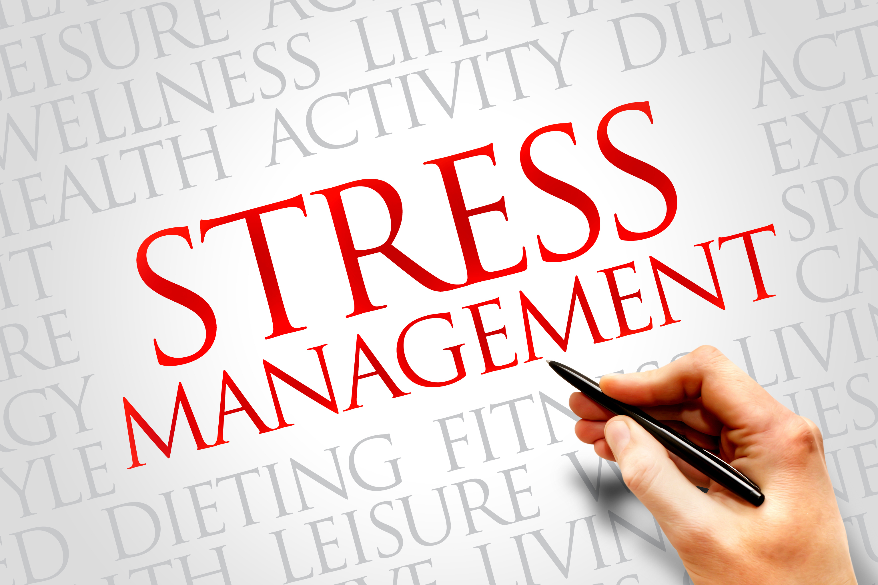 PELATIHAN TIME AND STRESS MAaNAGEMENT IN WORKPLACE