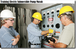 training princilple electric sumersible pump murah